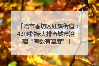哈市香坊区红旗街道：43项指标大排查城市治理“有数有温度”