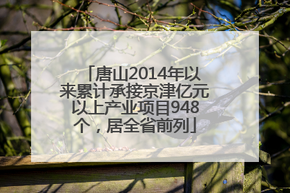 唐山2014年以来累计承接京津亿元以上产业项目948个，居全省前列