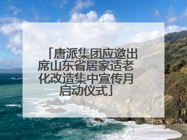 唐派集团应邀出席山东省居家适老化改造集中宣传月启动仪式