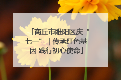 商丘市睢阳区庆“七一”｜传承红色基因 践行初心使命