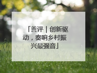善评｜创新驱动，奏响乡村振兴最强音