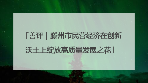 善评｜滕州市民营经济在创新沃土上绽放高质量发展之花