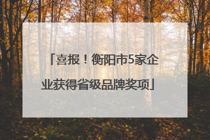 喜报！衡阳市5家企业获得省级品牌奖项