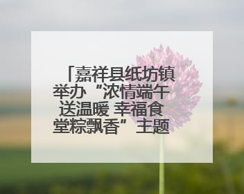 嘉祥县纸坊镇举办“浓情端午送温暖 幸福食堂粽飘香”主题文明实践活动