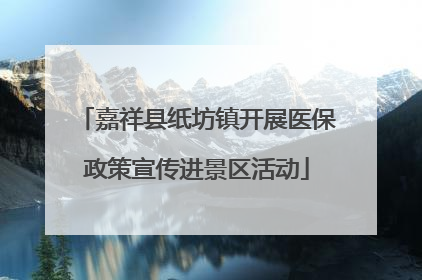 嘉祥县纸坊镇开展医保政策宣传进景区活动