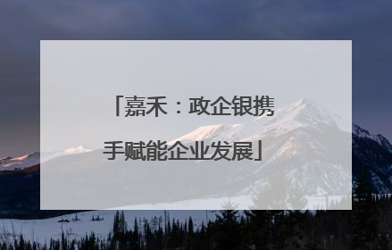 嘉禾：政企银携手赋能企业发展