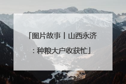 图片故事丨山西永济：种粮大户收获忙