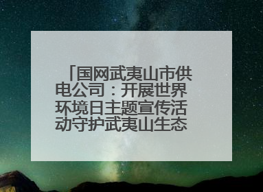 国网武夷山市供电公司：开展世界环境日主题宣传活动守护武夷山生态“高颜值”