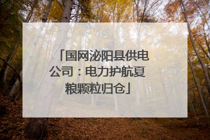 国网泌阳县供电公司：电力护航夏粮颗粒归仓