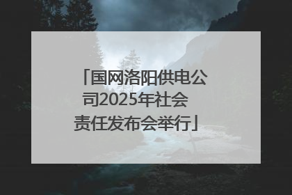 国网洛阳供电公司2025年社会责任发布会举行