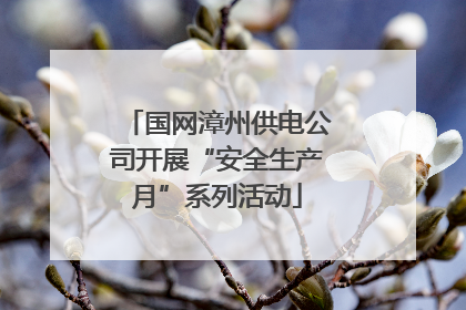 国网漳州供电公司开展“安全生产月”系列活动