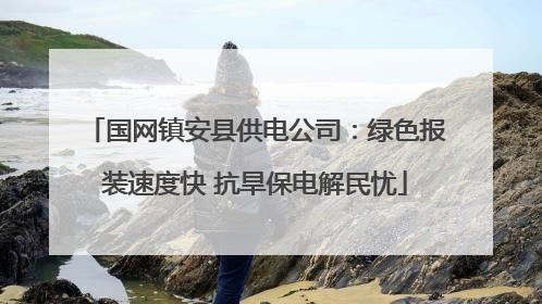 国网镇安县供电公司：绿色报装速度快 抗旱保电解民忧