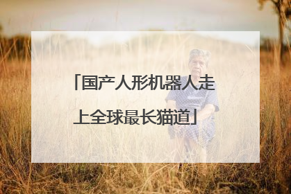 国产人形机器人走上全球最长猫道