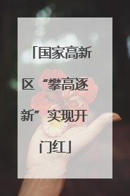 国家高新区“攀高逐新”实现开门红