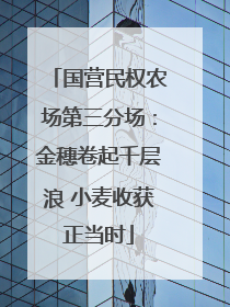 国营民权农场第三分场：金穗卷起千层浪 小麦收获正当时