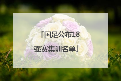 国足公布18强赛集训名单