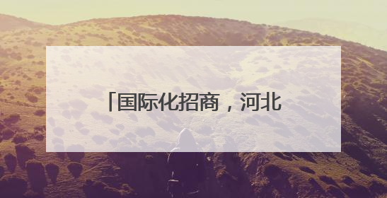 国际化招商，河北广邀全球投资客商