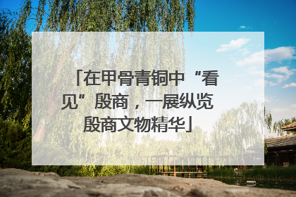 在甲骨青铜中“看见”殷商，一展纵览殷商文物精华