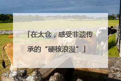 在太仓，感受非遗传承的“硬核浪漫”