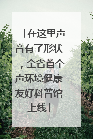 在这里声音有了形状，全省首个声环境健康友好科普馆上线