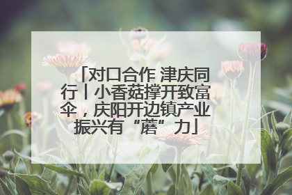 对口合作 津庆同行丨小香菇撑开致富伞，庆阳开边镇产业振兴有“蘑”力