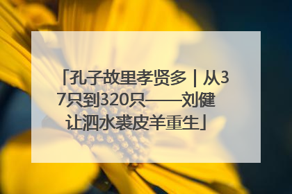 孔子故里孝贤多｜从37只到320只——刘健让泗水裘皮羊重生