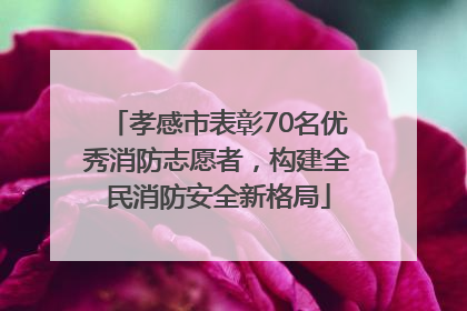 孝感市表彰70名优秀消防志愿者，构建全民消防安全新格局