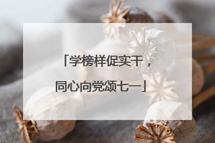 学榜样促实干，同心向党颂七一