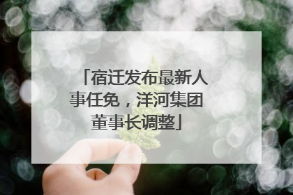 宿迁发布最新人事任免，洋河集团董事长调整