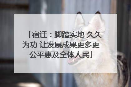 宿迁：脚踏实地 久久为功 让发展成果更多更公平惠及全体人民