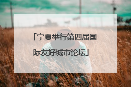 宁夏举行第四届国际友好城市论坛