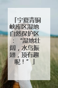 宁夏青铜峡库区湿地自然保护区：“湿地壮阔，水鸟振翅，顶有趣呢！”