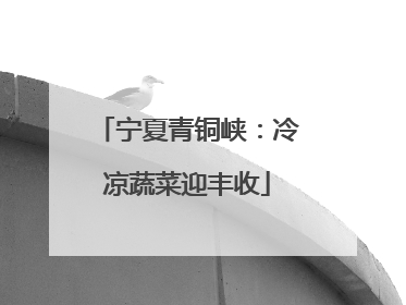 宁夏青铜峡：冷凉蔬菜迎丰收
