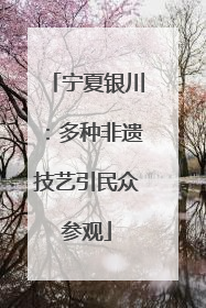 宁夏银川：多种非遗技艺引民众参观