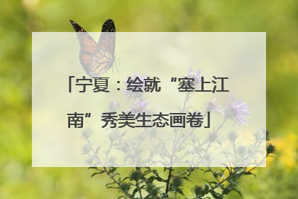 宁夏：绘就“塞上江南”秀美生态画卷
