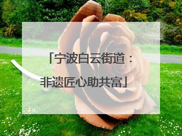 宁波白云街道：非遗匠心助共富