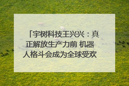 宇树科技王兴兴：真正解放生产力前 机器人格斗会成为全球受欢迎的赛事｜科技观察