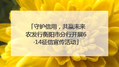 守护信用，共赢未来 农发行衡阳市分行开展6·14征信宣传活动