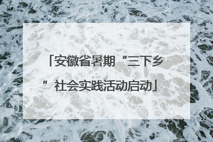 安徽省暑期“三下乡”社会实践活动启动
