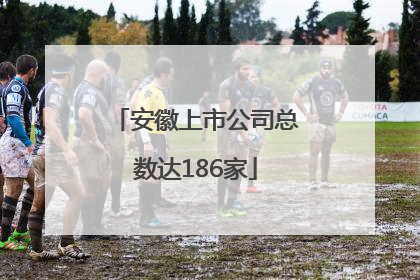 安徽上市公司总数达186家