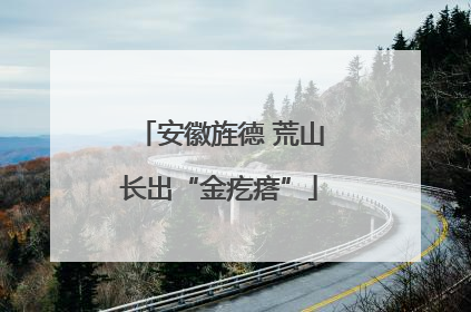 安徽旌德 荒山长出“金疙瘩”