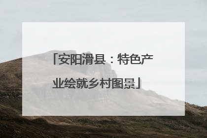 安阳滑县：特色产业绘就乡村图景