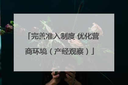 完善准入制度 优化营商环境（产经观察）
