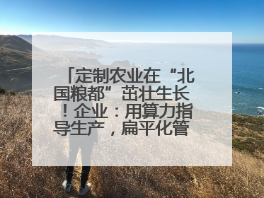 定制农业在“北国粮都”茁壮生长！企业：用算力指导生产，扁平化管理种地