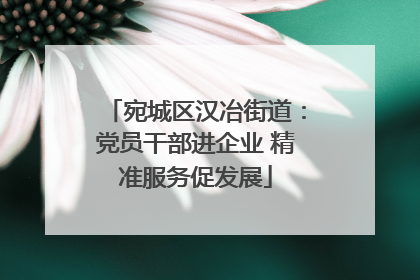 宛城区汉冶街道：党员干部进企业 精准服务促发展