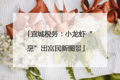 宜城税务：小龙虾“烹”出富民新图景
