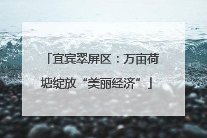宜宾翠屏区：万亩荷塘绽放“美丽经济”