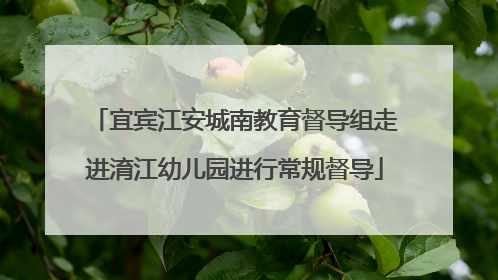 宜宾江安城南教育督导组走进淯江幼儿园进行常规督导