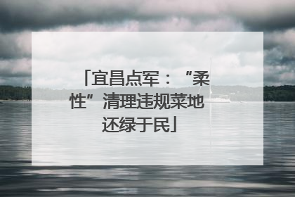 宜昌点军：“柔性”清理违规菜地 还绿于民