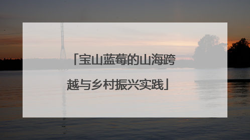 宝山蓝莓的山海跨越与乡村振兴实践
